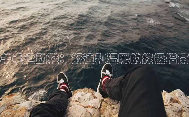 意昂2账号登录入口百度教育羊毛运动鞋：舒适和温暖的终极指南