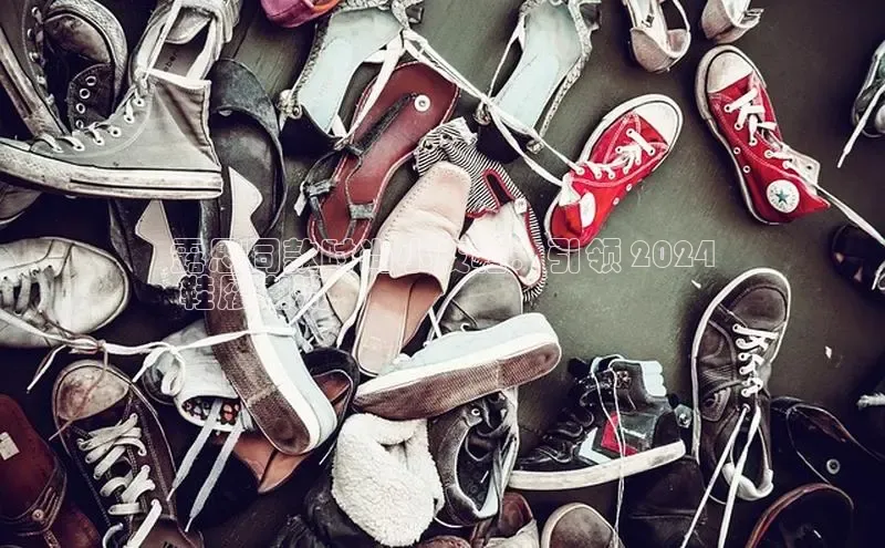 意昂2登录地址百度大脑露思同款时尚小皮鞋：引领 2024
 鞋履潮流