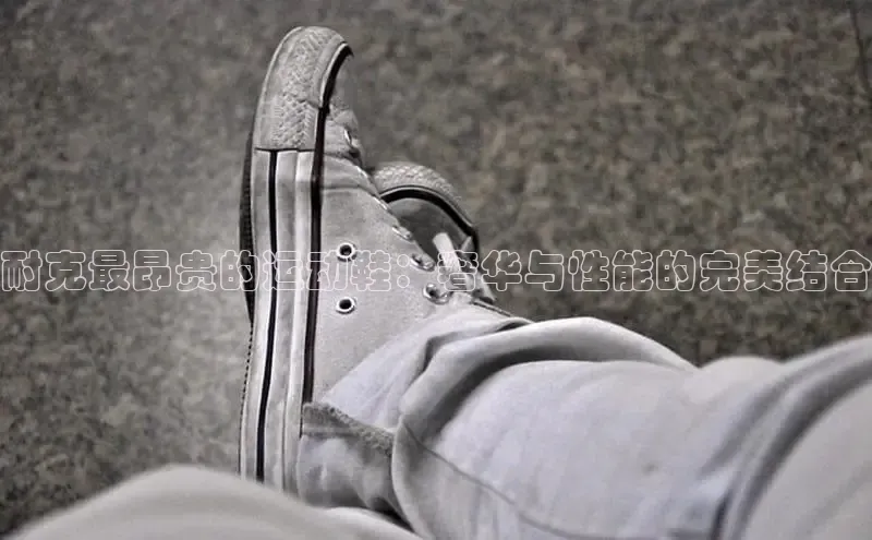 意昂2账号登录入口百度教育耐克最昂贵的运动鞋：奢华与性能的完美结合